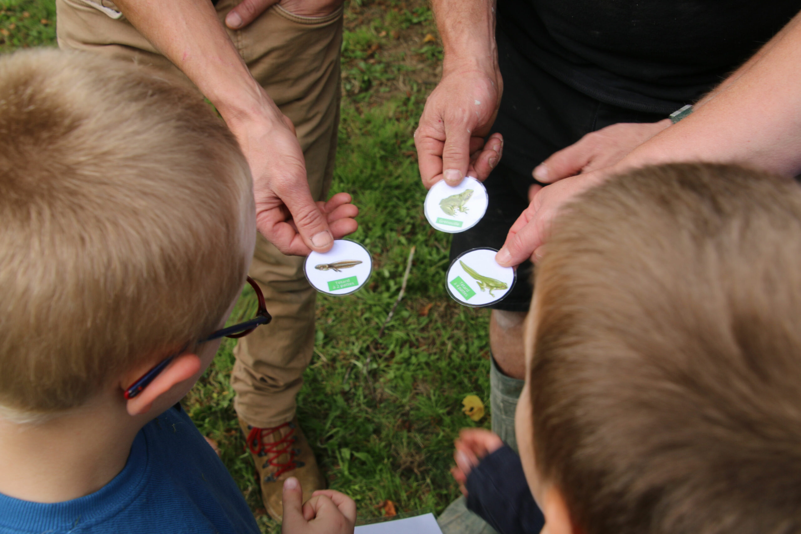 animation-pastille-élevée