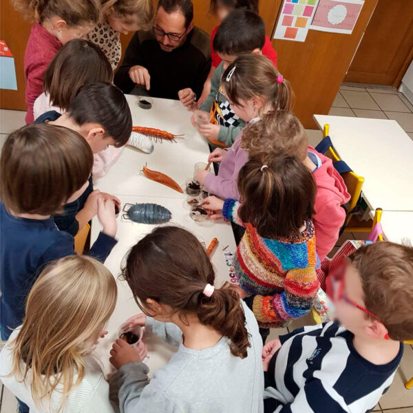 Animation découverte à l'école