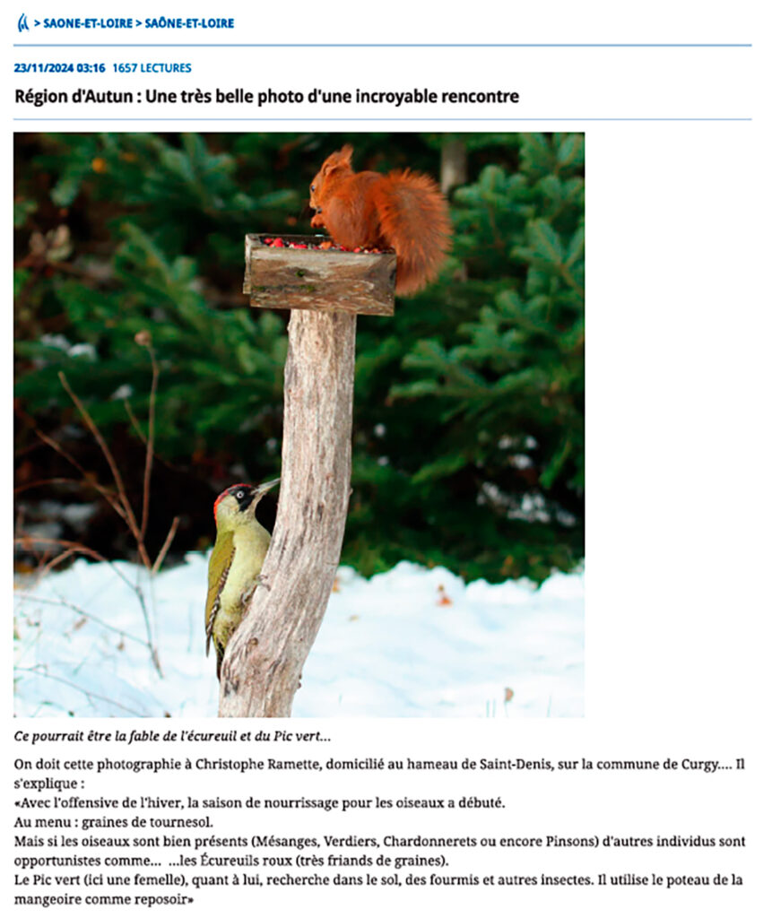 Presse autun avec écureuil