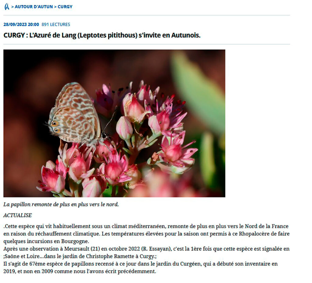 Presse curgy avec papillon