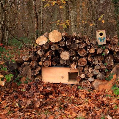 Cabane en bois