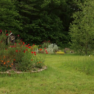 eden-sensibilisation-faible